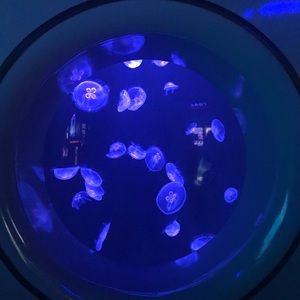 Meet your Posher, Trinity